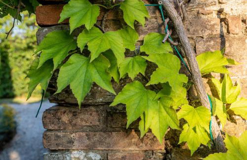 Villa in Agello - Photo 47