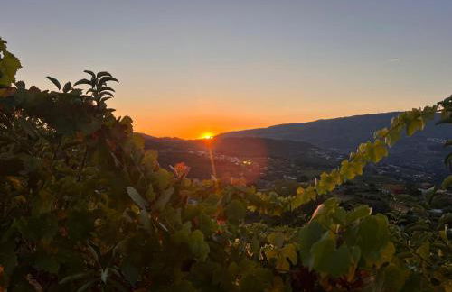 Douro Wellspring - Photo 34