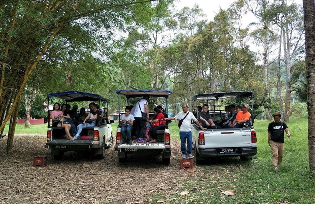 Misty Forest II - 9 Pax Next To Night Market - Foto 28