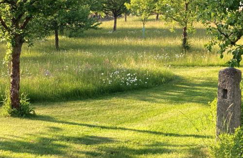 Austragshaus Almbranz - Foto 35