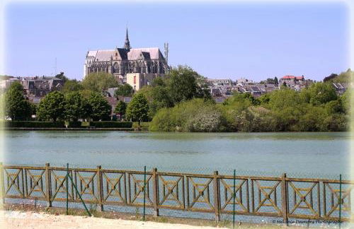 Comme à la maison - BASILIQUE - Foto 61