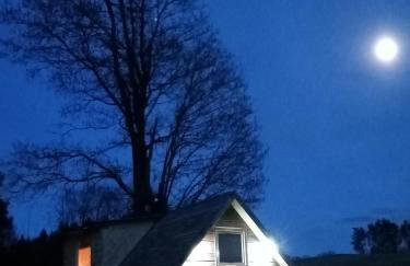 Gajóweczka - Foto 7