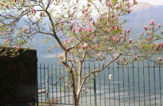 Romantic Dream On The Lake - Foto 50