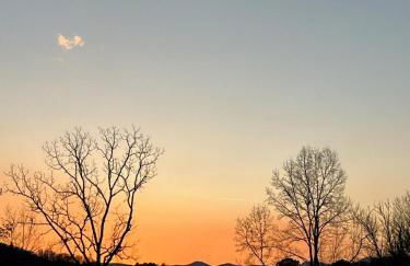 Private Mountain Getaway in Little River Valley - Foto 18