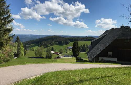 BLACKFOREST LOFT - Panoramablick Schwarzwald - Foto 37
