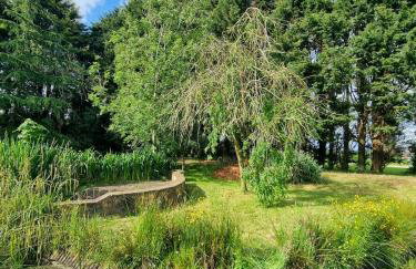 Crookdale House By Holiday Heim Country Manor With Private Pool And Bar - Foto 56