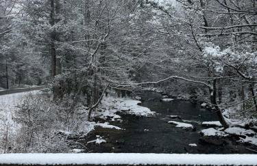 Serene Cabin between Fayetteville& Summerville WV - Foto 62