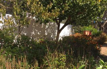 Livanina apartments - Foto 37