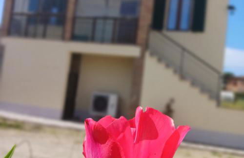 Casa di zio - Foto 2