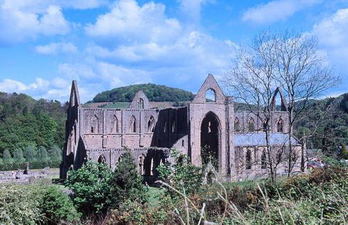 Foxes Reach - Hw7421 - Foto 17