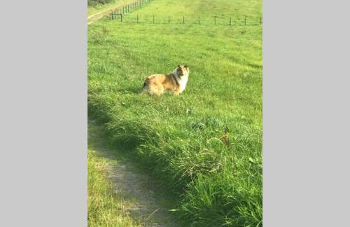 The Byre (Unusual and Different). - Foto 47