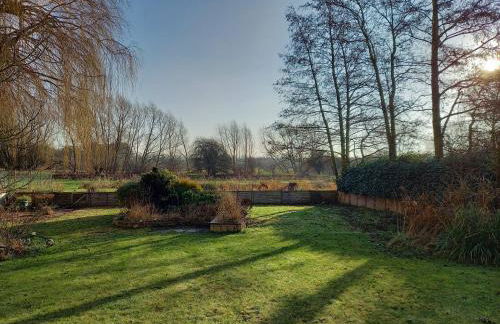 Room with a View - Photo 9