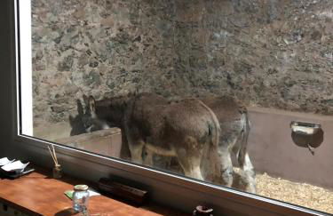 Casa antigua - Foto 34