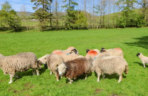 Herdie Hideaway - Foto 14