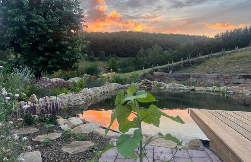 Blockbohlen HolzHaus mit Sauna, Outdoor Jacuzzi und BadeTeich - Foto 77