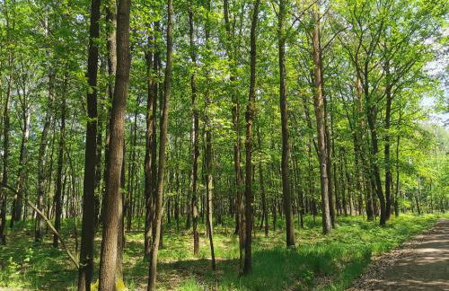 Bungalow Ulf - Foto 11