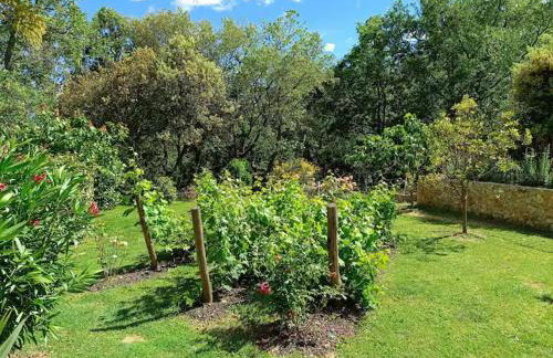 L'Autre Perle, balnéo en supplément, le Clos des Perles - Foto 38