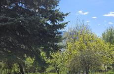 The Heritage Home - Foto 26