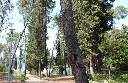 Apartments Salihbegovic - Foto 6