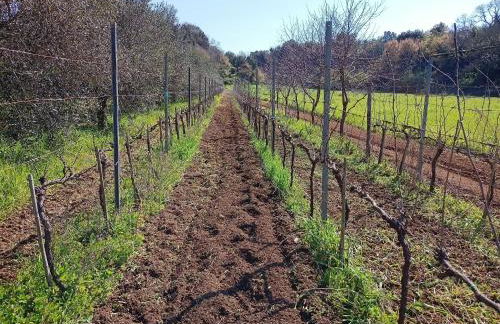 La Torre di Barbara - Foto 77