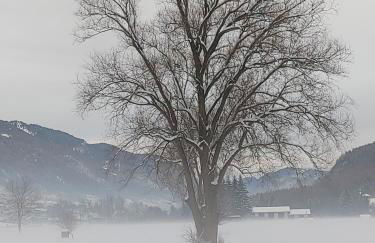 Appartamento Al Brenz - Foto 33