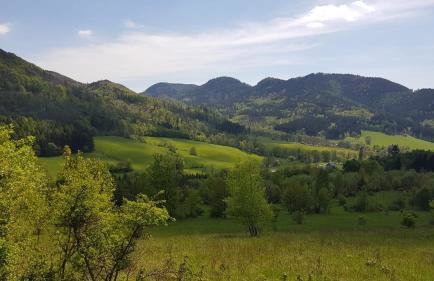 Słoneczne Apartamenty - Foto 53