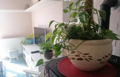 Apartman Kopriva - Photo 9