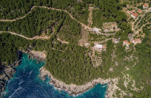 Apartmani Popović - Foto 2