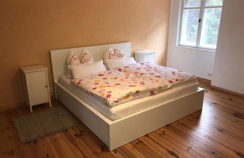 Sanierte möblierte Altbauwohnung am Waldrand für bis zu 6 Personen - Foto 8