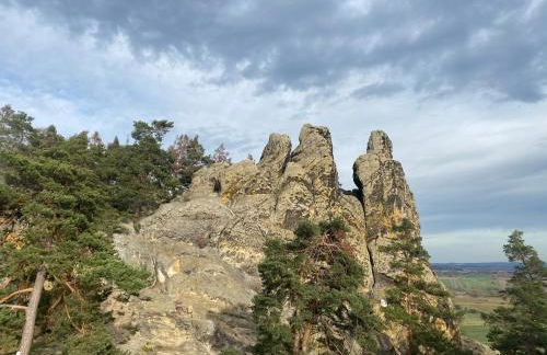 Ferienwohnung "Harzliebe" - Foto 19