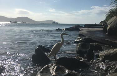 Apartamento Centro dos Ingleses - Photo 13