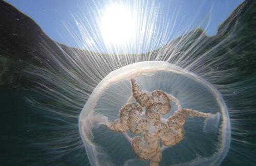 Hidden Gem near the beach with pool table - Foto 33