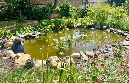 Winemaker’s House with pool near the sea - Foto 20