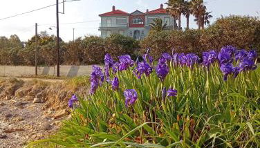 Villa Lagosta - Foto 5