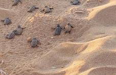 MARIA Cozy apartment 1 - Photo 22