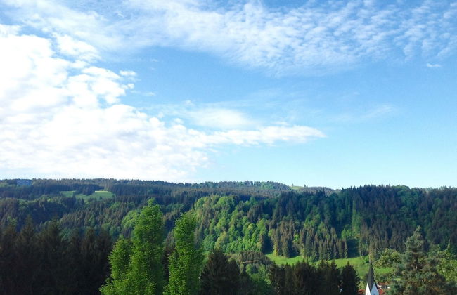 Kraeuterhof-Ferienwohnung - Photo 22