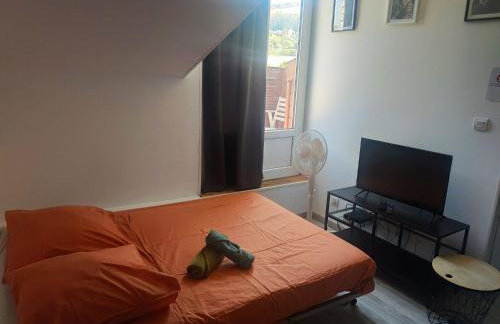 Le Nid- Balcon jolie vue - St Etienne-sud - Photo 20
