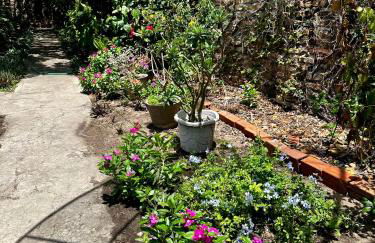 Casinha da vovó - Photo 8