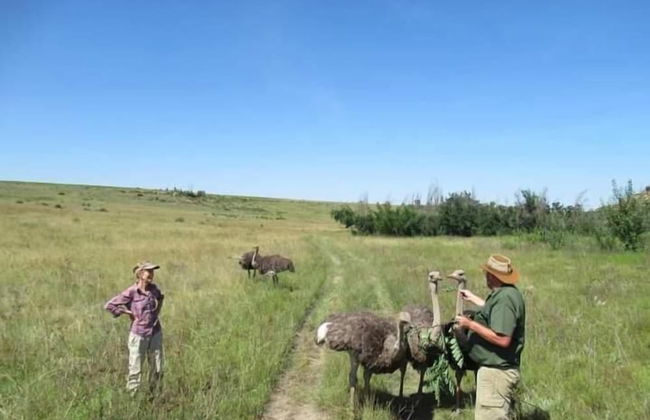 Boschfontein Mountain Lodge - Foto 24