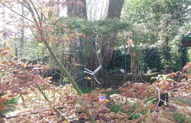 Queens Road Rental - Winchester Accommodation - Foto 30