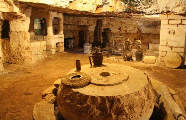 Dégustation d'huile d'olive - Photo 2