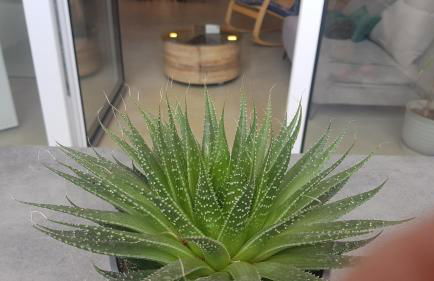 Loft Mariola - Apartamento en el centro histórico - Foto 54