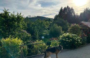 Mr. Sowa Sokolec - Foto 35