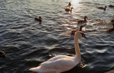 Domek letniskowy Ostróda Arizona - Foto 17