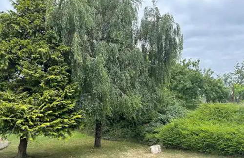 Lovely Holiday Home in Loire for 10 - Photo 29