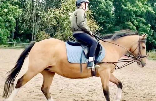 Landlebenliebe - Foto 55