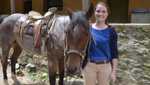 Conoceremos a nuestros compañeros equinos