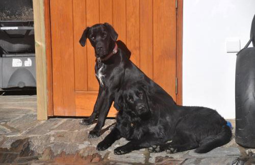 Quinta do Bom Vento - Photo 49