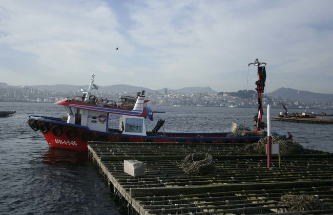 Tour in Cangas - Foto 6