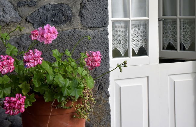 Casa do Zé - AL - Foto 58